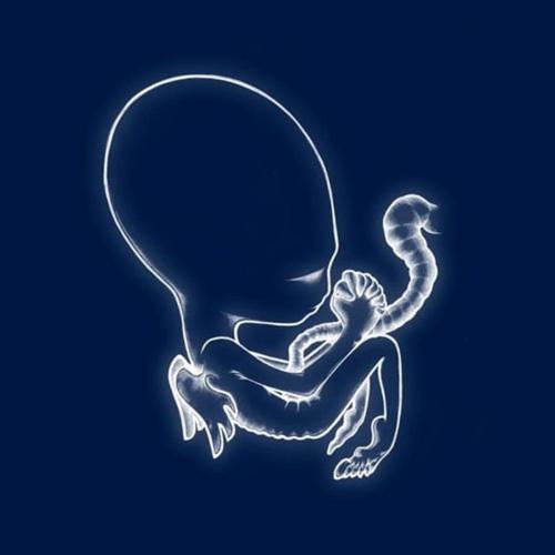 Sigur Ros - Avalon