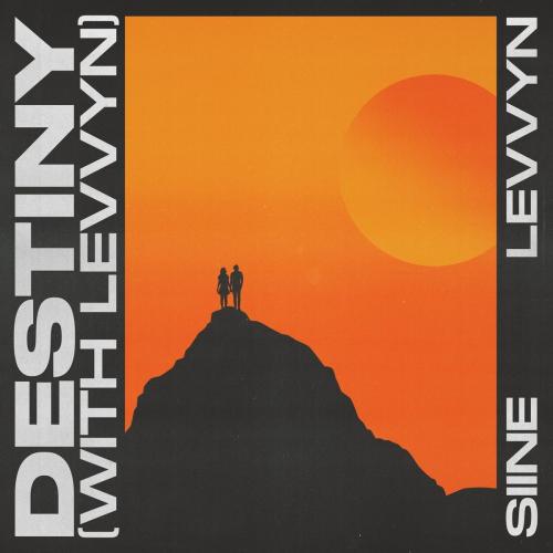 Destiny - Siine feat. Levvyn