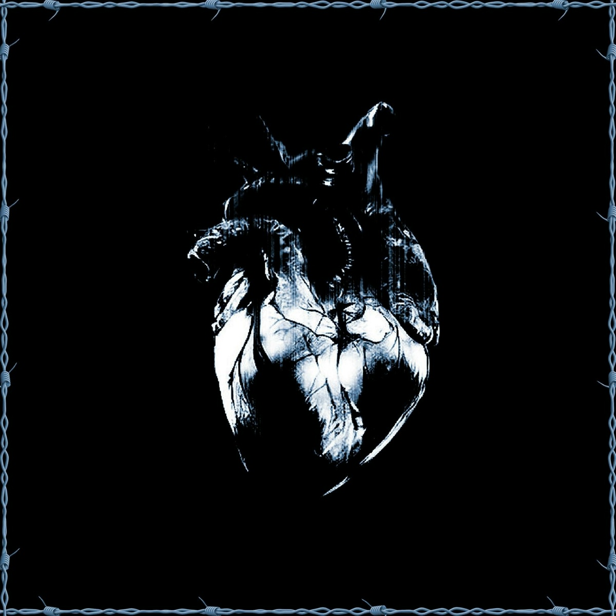 Curse - silent anthem