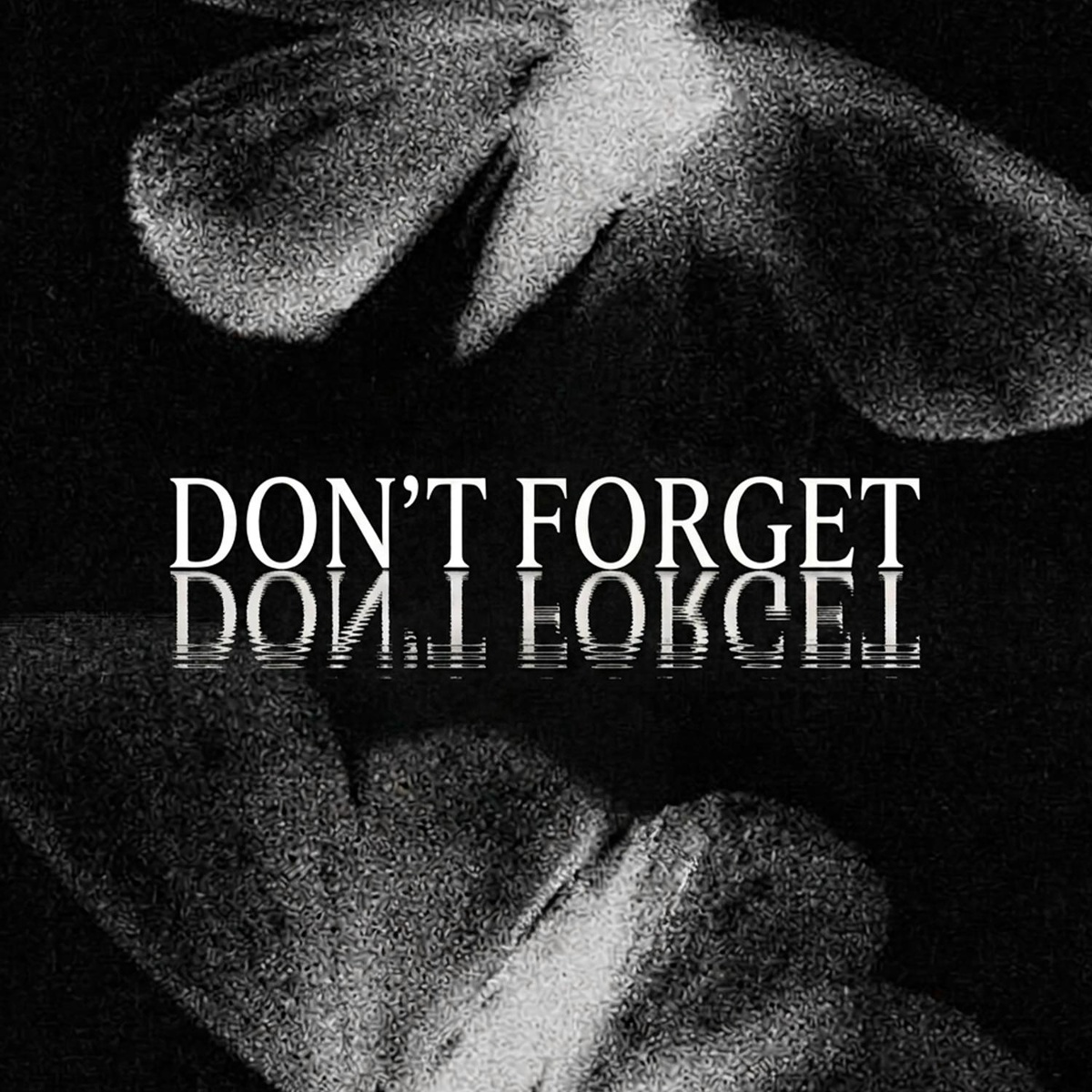 Don't Forget - silent anthem