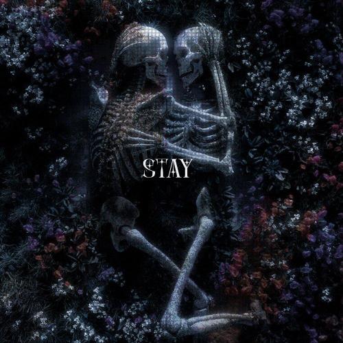 silent anthem - stay