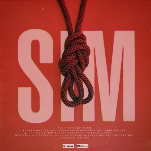 Sim - Узел