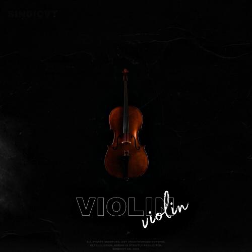 Violin - SINDICVT