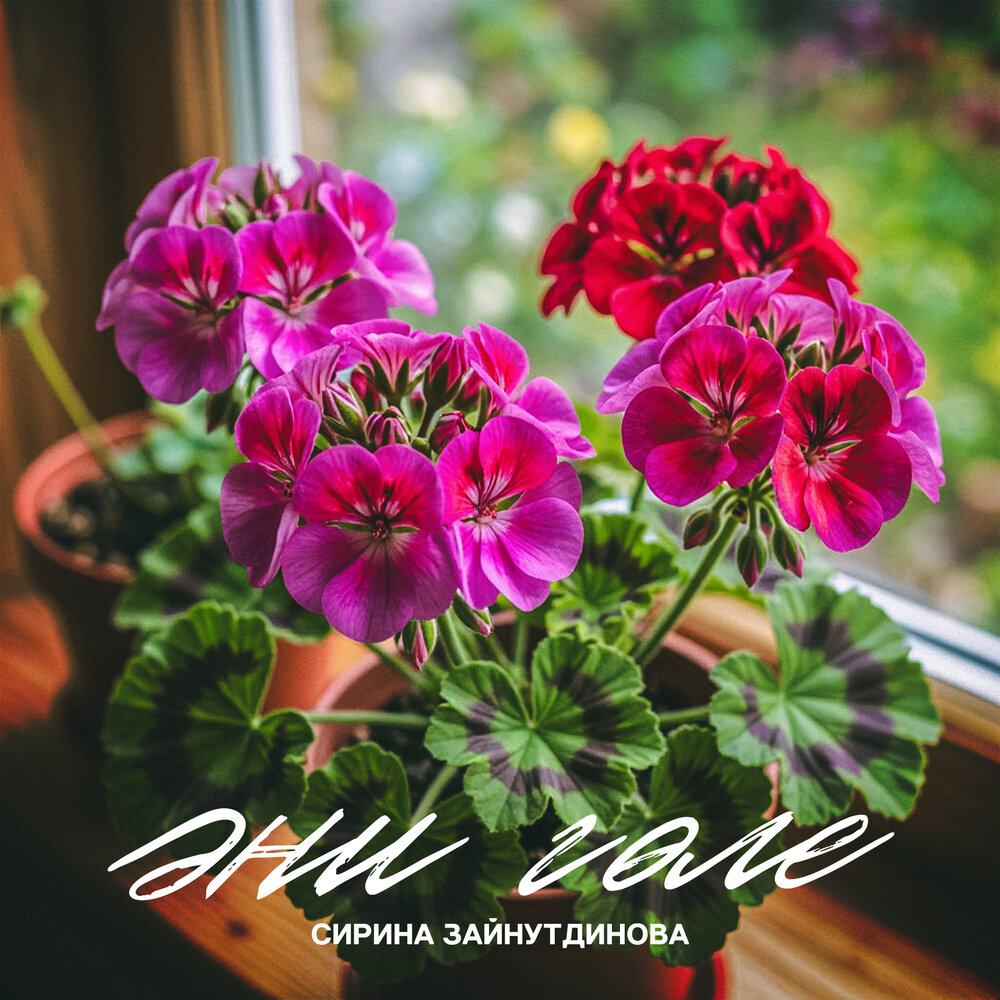 Эни голе - Сирина Зайнутдинова