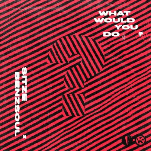 Sitze feat. Benzsoul - What Would You Do
