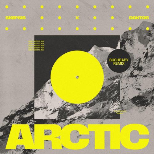 Skepsis & Doktor - Arctic (Bushbaby Remix)