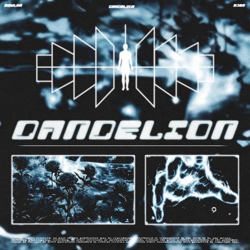 DANDELION - SKWLKR