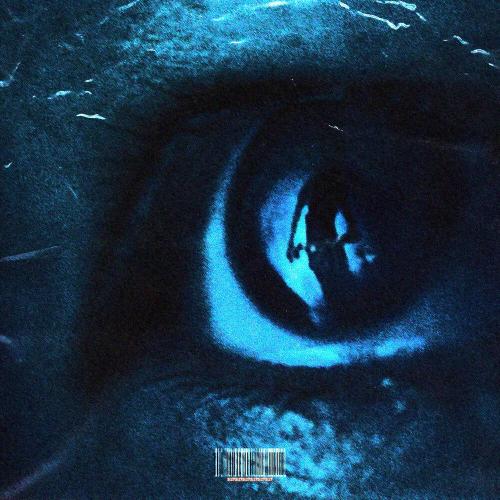 skyfall beats - bipolar