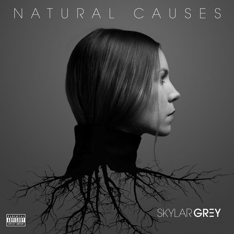 Moving Mountains - Skylar Grey