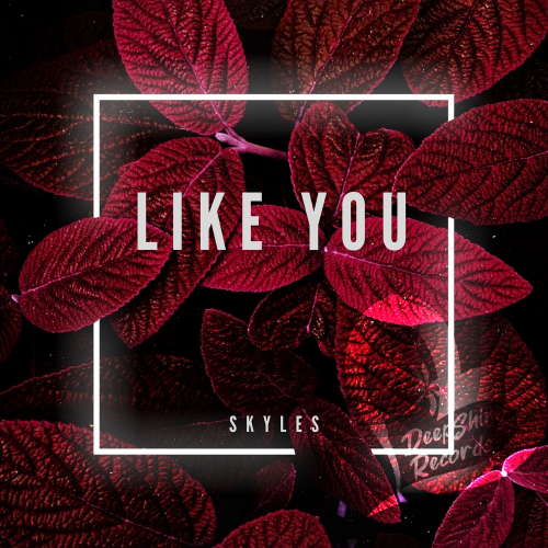 Like You - Skyles