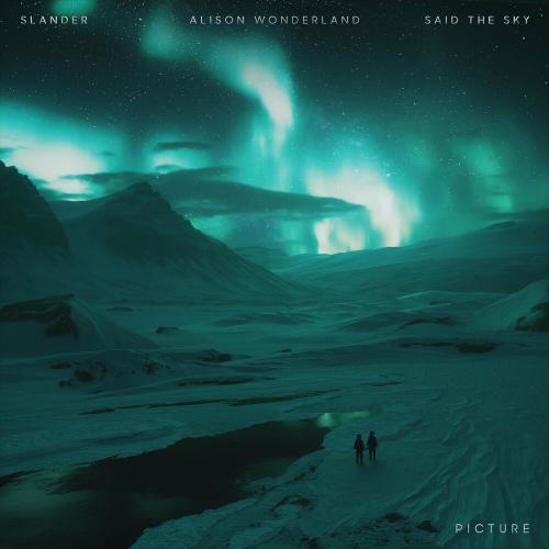 Picture - Slander feat. Alison Wonderland & Said The Sky
