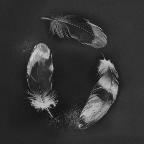 SLANDER, NGHTMRE & ZOHARA - Free