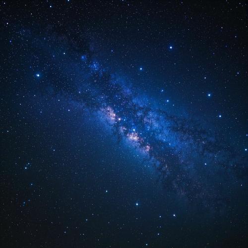 SLAP HOUSE MAFIA - Stars