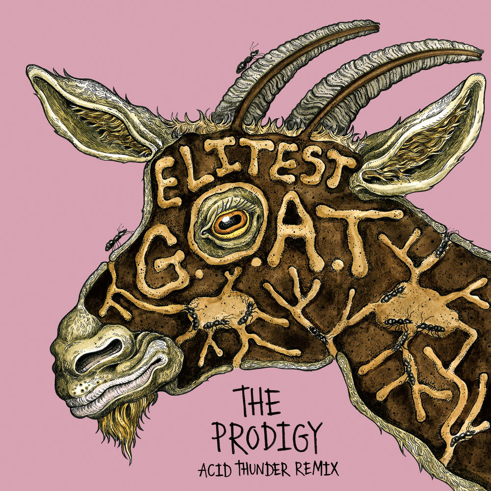 Sleaford Mods & The Prodigy feat. Aldous Harding - Elitest G.o.a.t. (The Prodigy Acid Thunder Mix)