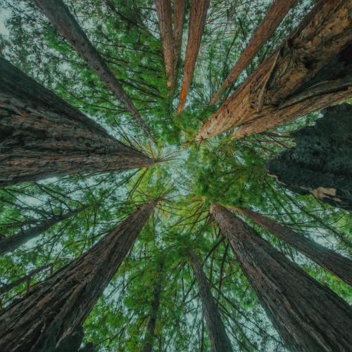 slenderbodies - Away From You