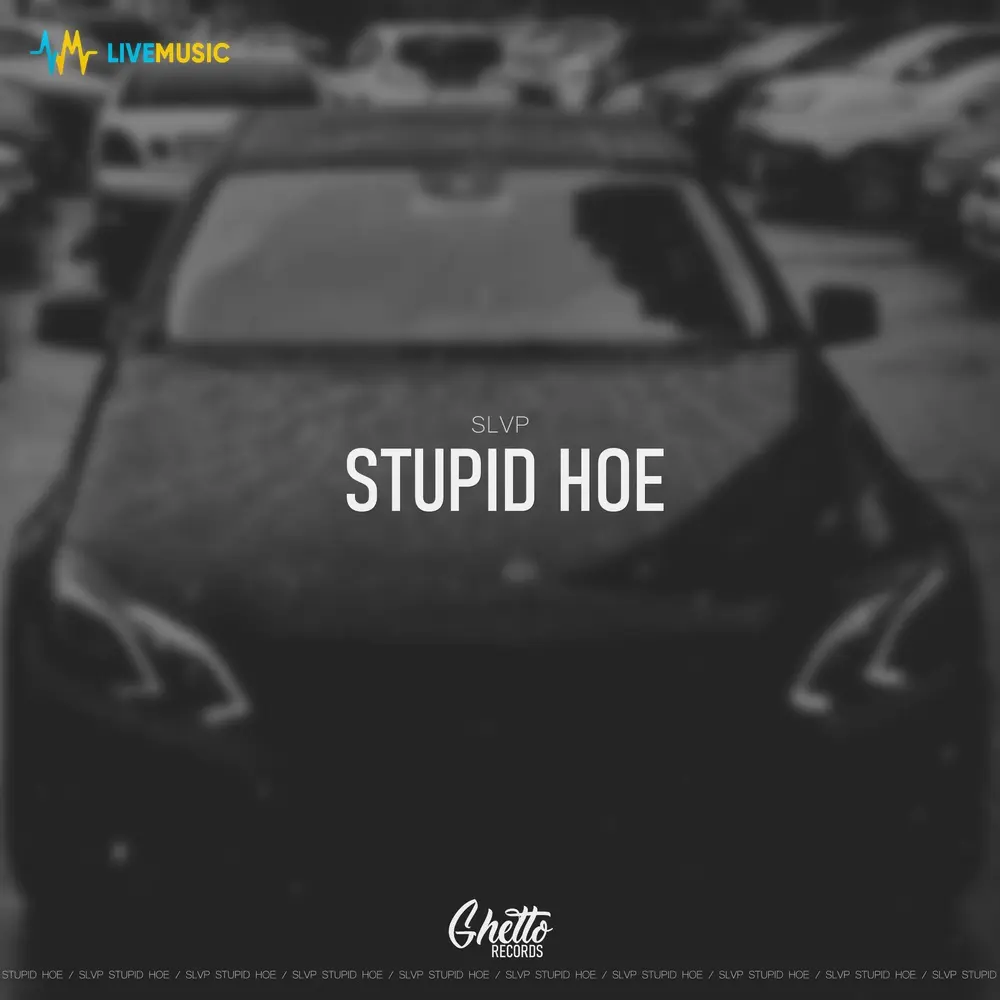 Stupid Hoe - SLVP