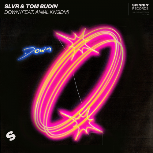 SLVR & Tom Budin feat. ANML KNGDM - Down