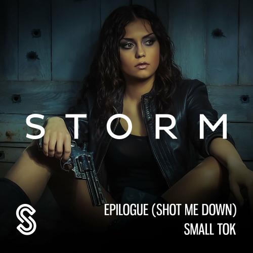 Small ToK - Epilogue (Shot Me Down)