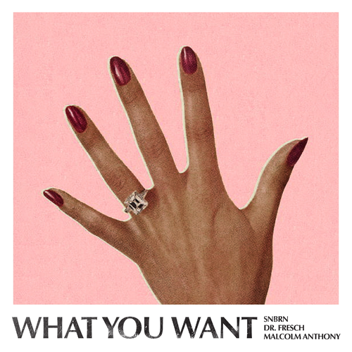 SNBRN & Dr. Fresch & Malcolm Anthony - What You Want