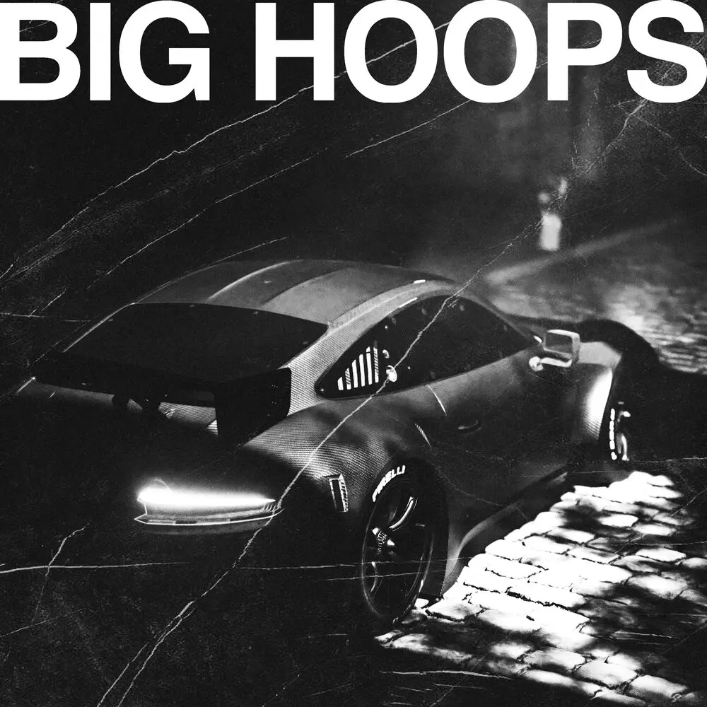 Big Hoops - snow.LEØPARD, The Trendy
