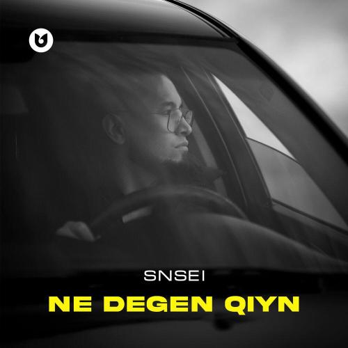 Snsei - Ne degen qiyn