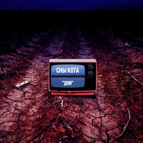 Дни - Сны Кота