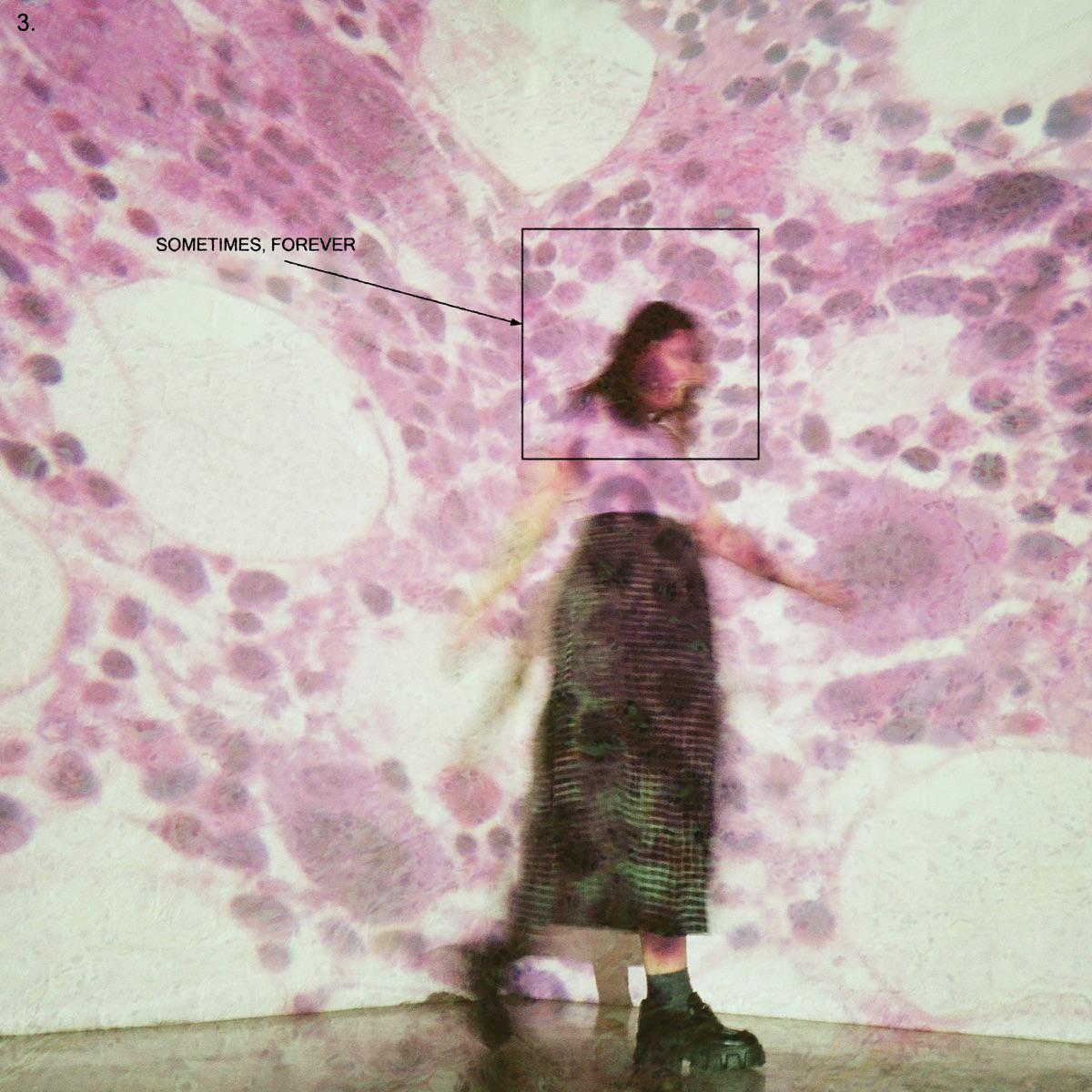 Following Eyes - Soccer Mommy