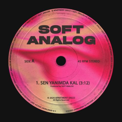 Sen Yanımda Kal - Soft Analog