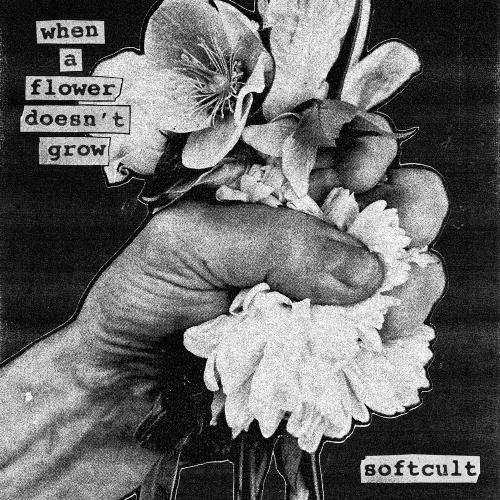 Softcult - 16_25