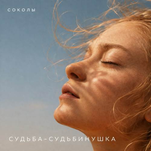 Судьба-судьбинушка - Соколы