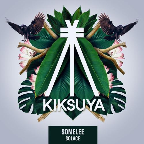 Solace - Somelee