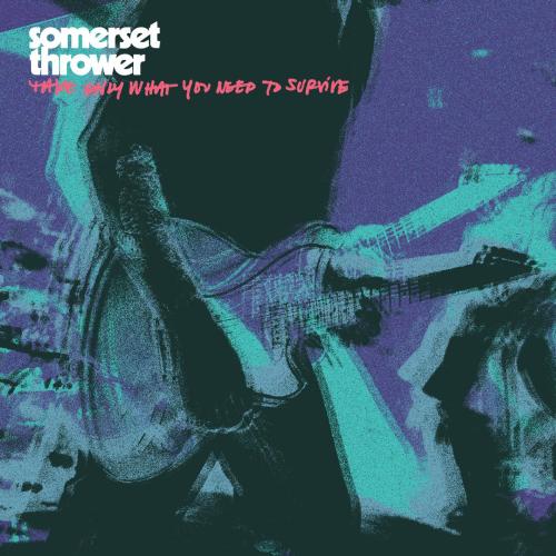 Somerset Thrower - Shinebox