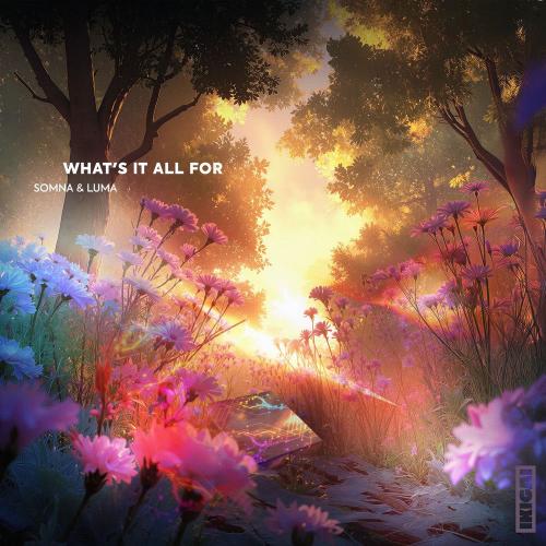 Somna & Luma - What's It All For