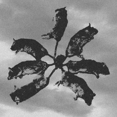 Somnezy - крысиный король