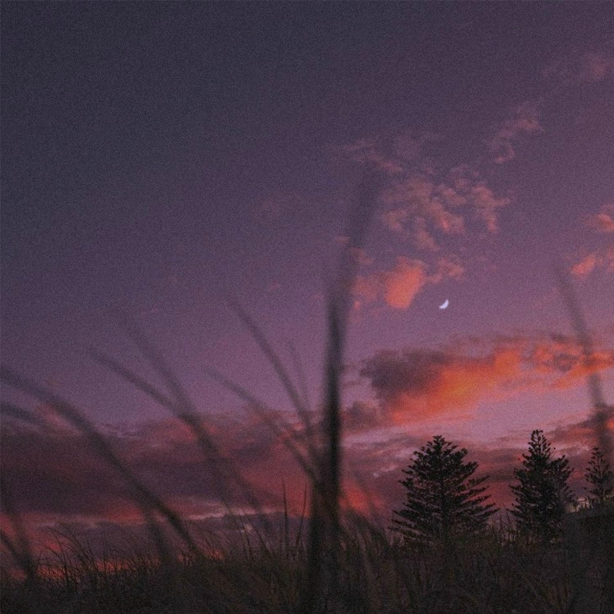 endless waiting - sønfy