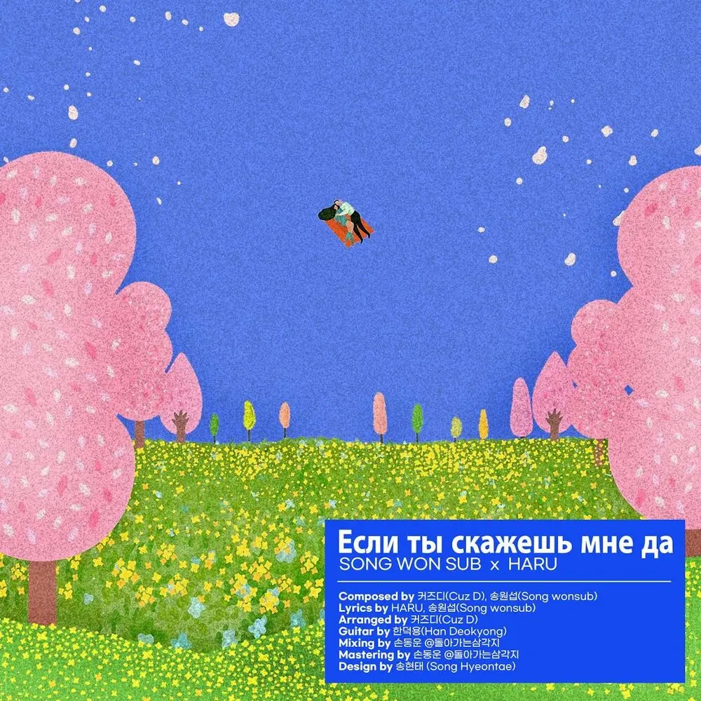 Если ты скажешь мне да - Song Won Sub