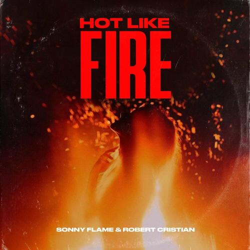 Hot Like Fire - Sonny Flame feat. Robert Cristian