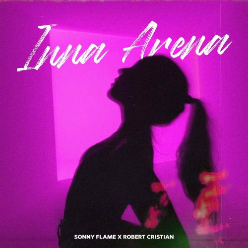 Sonny Flame & Robert Cristian - Inna Arena