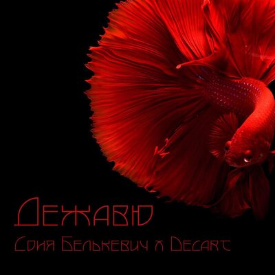 Дежавю - Соня Белькевич, DECART