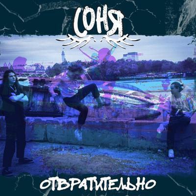 соня - пёсики