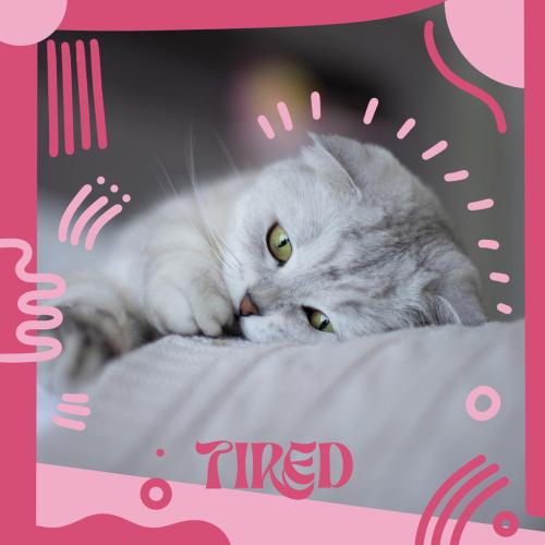Sonyakisa - Tired