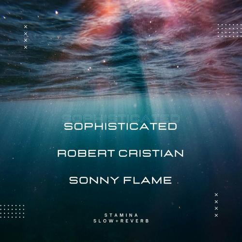 Stamina (Slowed x Reverb Version) - Sophisticated feat. Robert Cristian x Sonny Flame