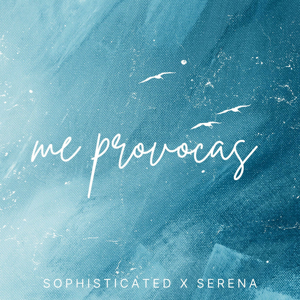 Me Provocas (Afro House Version) - Sophisticated & Serena