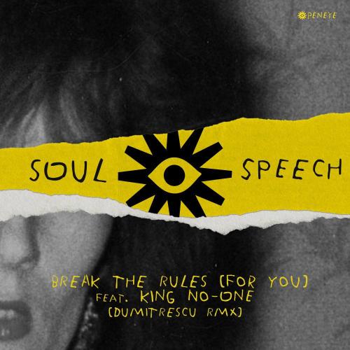 Soul Speech & Riva Starr feat. King No-One & DumitrEscu - Break The Rules (For You) (Dumitrescu Remix)