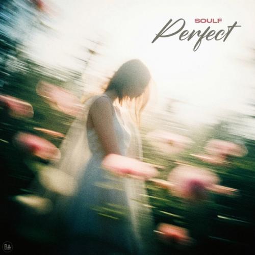Perfect - SOULF