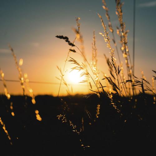 SoulProdMusic - Positive Mood