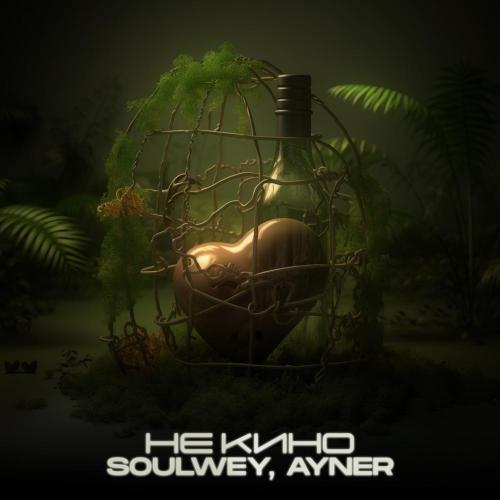 soulwey, Aner - Не кино