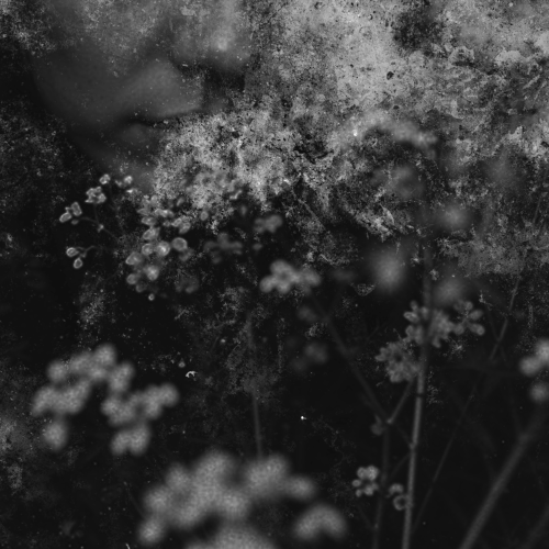 southiyd - falling