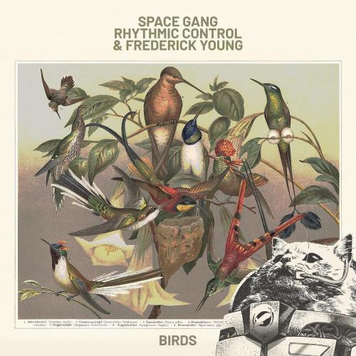 Space Gang, Rhythmic Control & Frederick Young - Birds