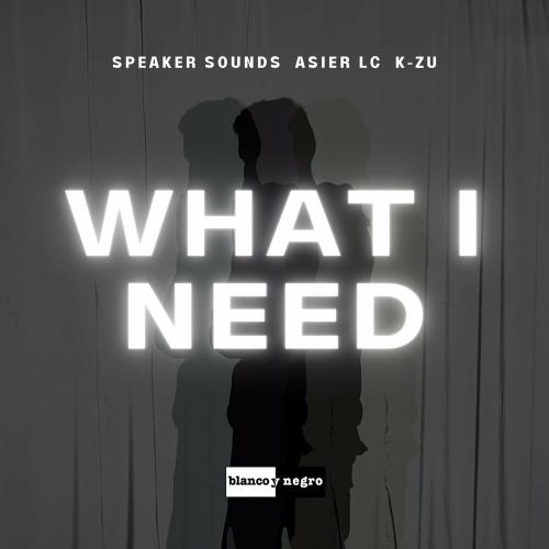 What I Need - Speaker Sounds, Asier LC & KZU